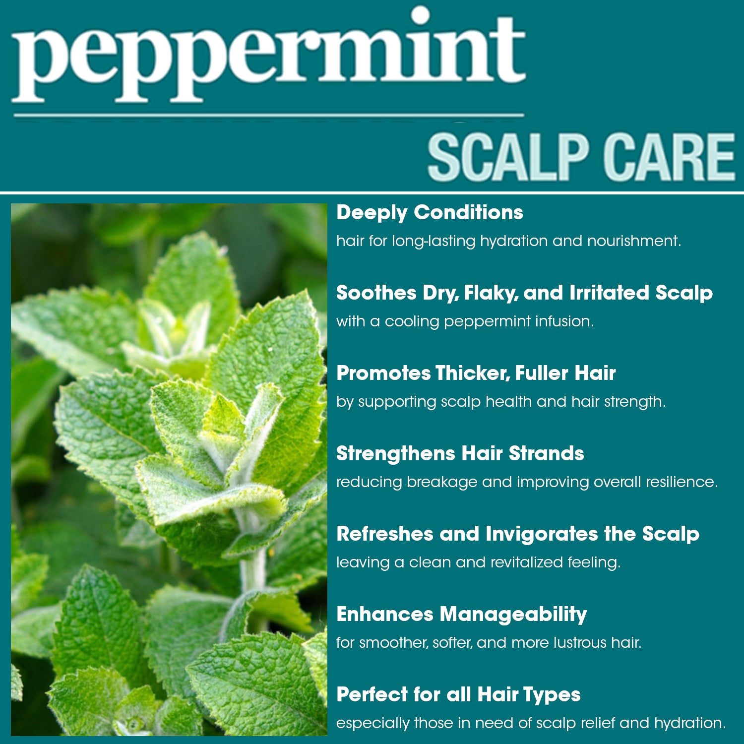 Difeel Peppermint Scalp Care Conditioner 33.8 oz.
