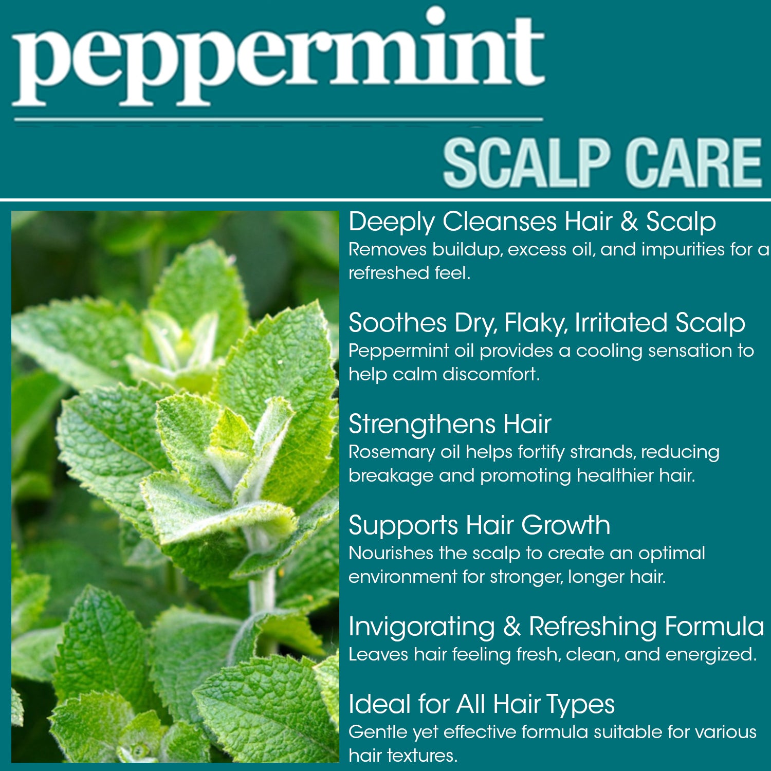 Difeel Peppermint Scalp Care Shampoo 33.8 oz.