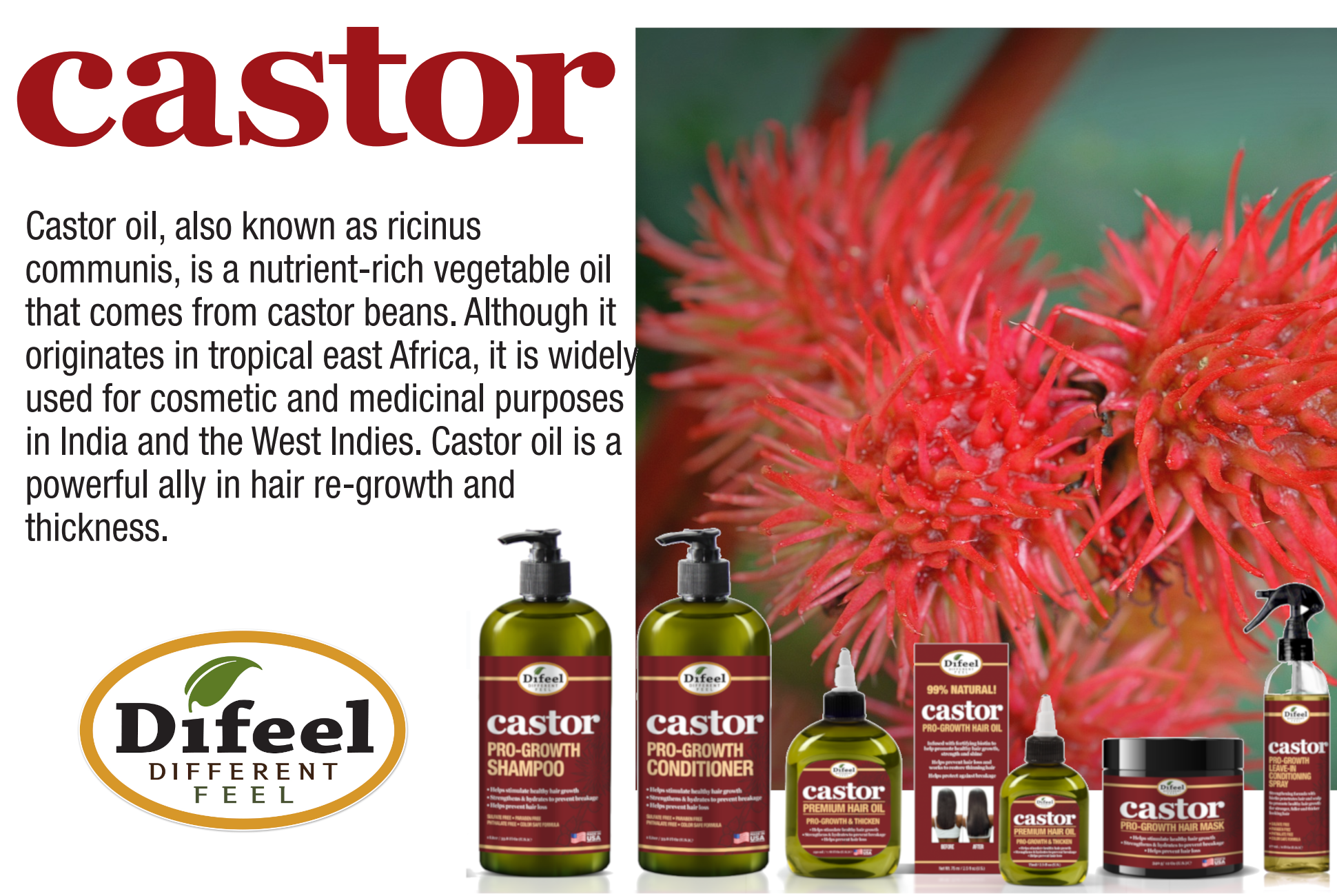 Difeel Castor Pro-Growth Conditioner 33 oz.